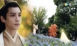 电视剧白发全集在线观看,穿越时空的爱恋，揭秘全集观看之旅