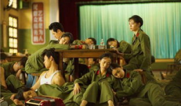 芳华电视剧,青春岁月里的梦想与奋斗