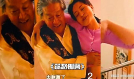 电视剧燕赵刑警,正义与智慧的较量