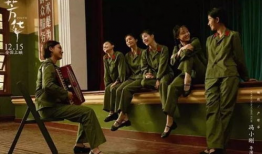 芳华电视剧,青春岁月里的梦想与奋斗